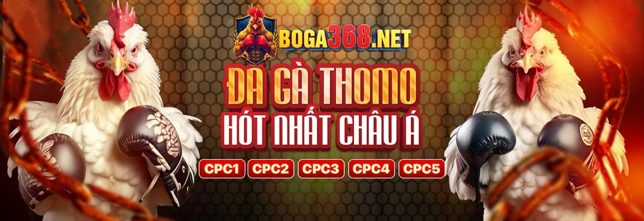 Tổng quan về Banca28, nền tảng cá cược trực tuyến hàng đầu Việt Nam